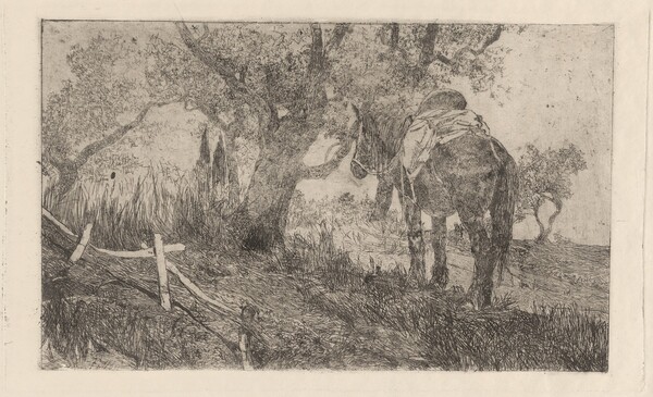 Horse at Midday (Cavallo a meriggio)