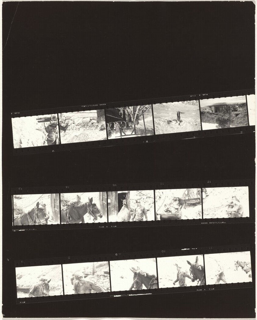 Guggenheim 49--Pennsylvania