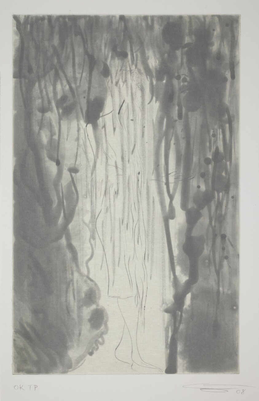 Rainbow - Grey Seale