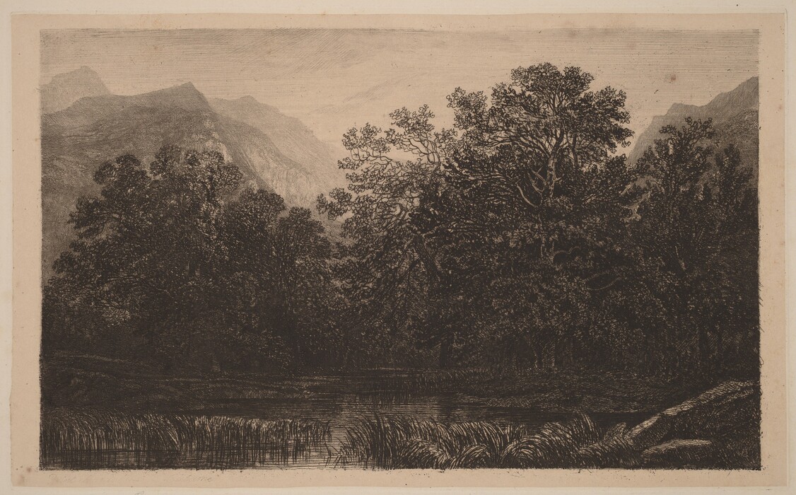 The image shows a landscape with a small body of water surrounded by dense foliage and tall trees. The water has long grasses and leads the eye towards distant tree-covered hills and mountains. The artwork is a detailed etching with fine lines depicting textures. The color palette is monochromatic in sepia tones, creating a serene visual impact.