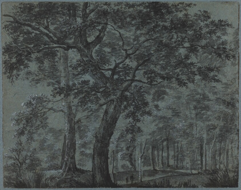 Woods at Night with Travelers