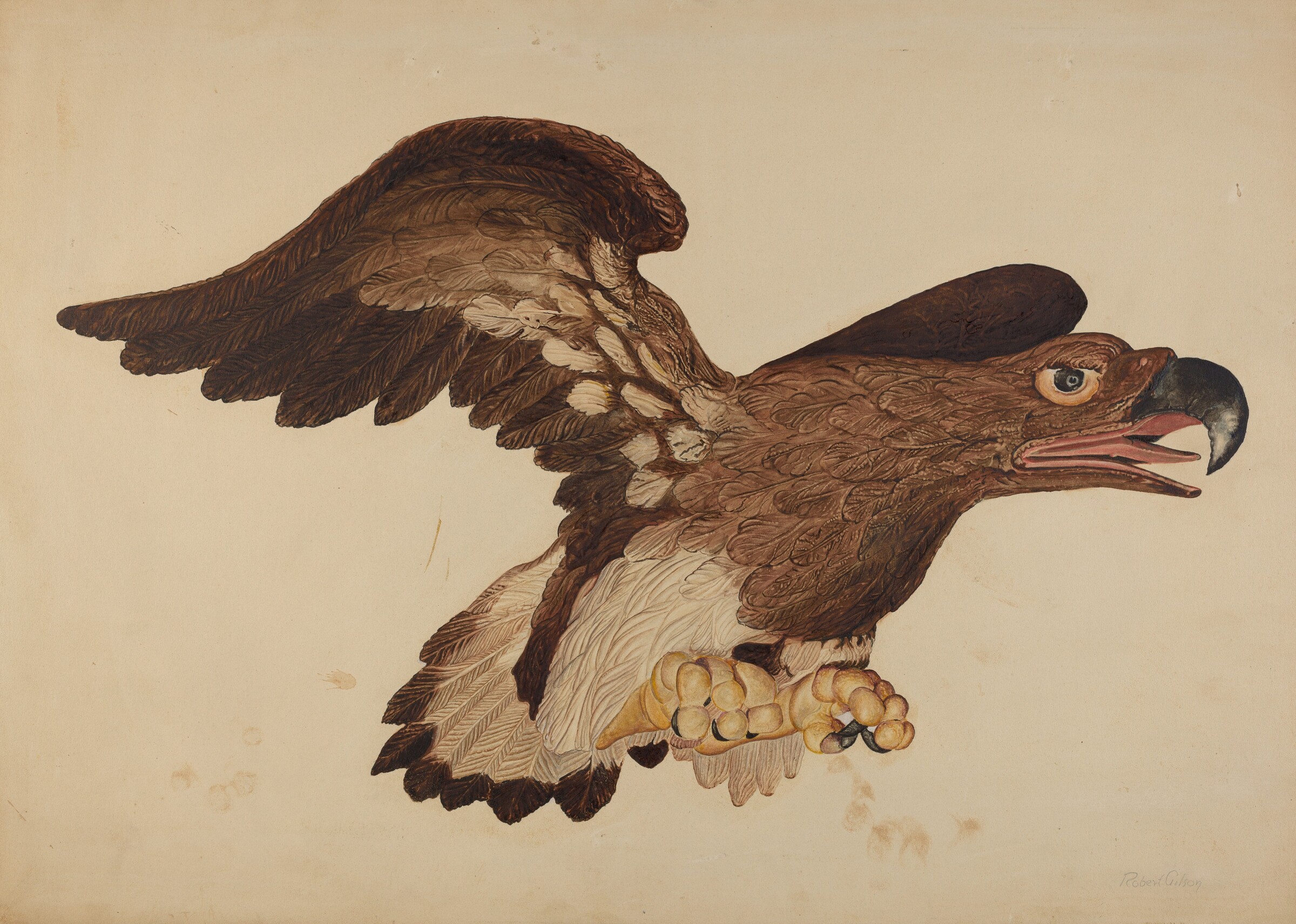 Carved Wooden Eagle, Robert Gilson, c. 1939
