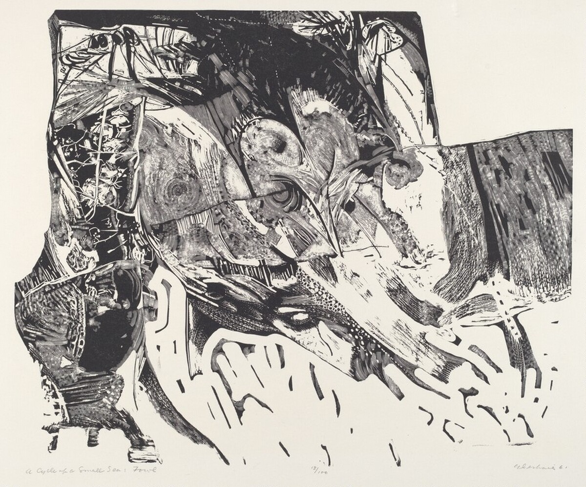 A Cycle of a Small Sea-Fowl