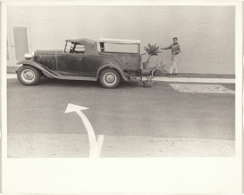 Automobile and plants--Los Angeles