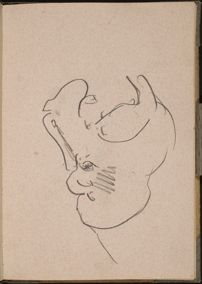 Nilpferdkopf mit geöffnetem Maul (Hippo with Open Mouth) [p. 15]