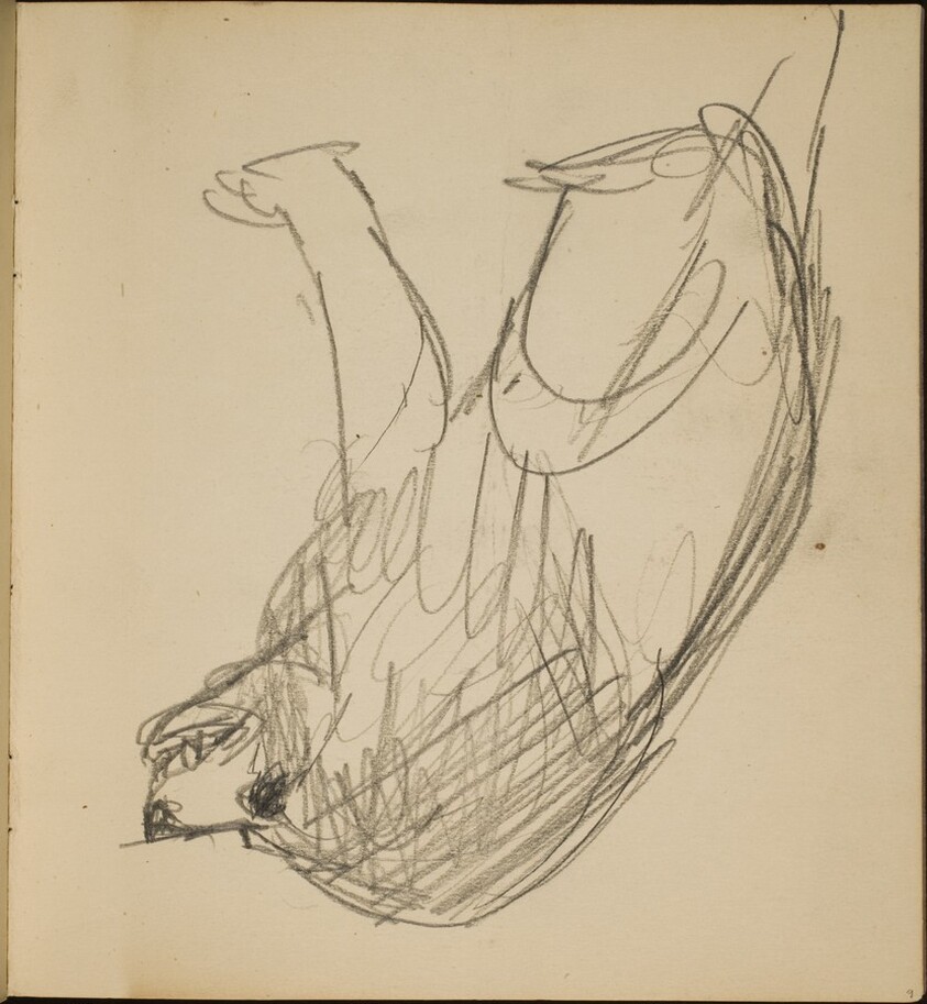 Hockender Löwe (Crouching Lion) [p. 9]