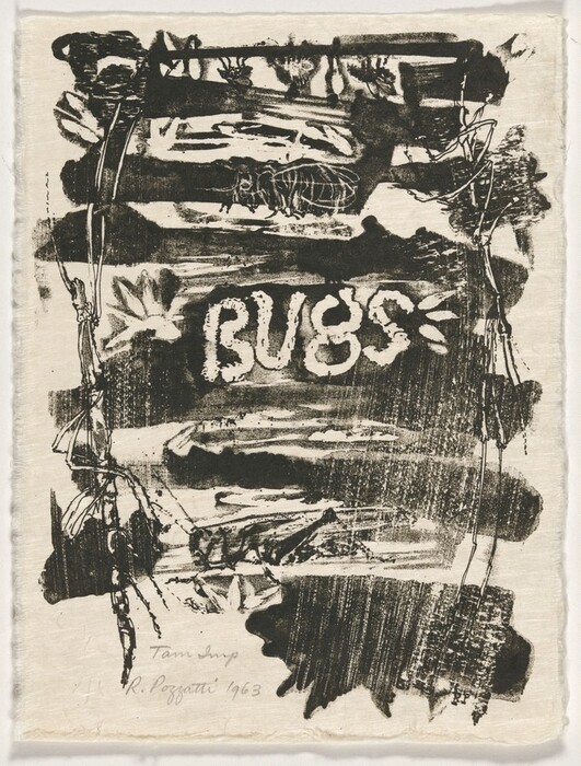 The image depicts bold textured lines and irregular shapes forming an abstract design. In the center is the word "BUGS" with a distressed texture. Surrounding it are abstract representations of insects, leaves, and twigs, creating a natural scene in an unconventional style. The arrangement suggests a forest or natural habitat.
