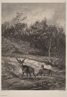 Au bord de l'eau, Karl Bodmer
