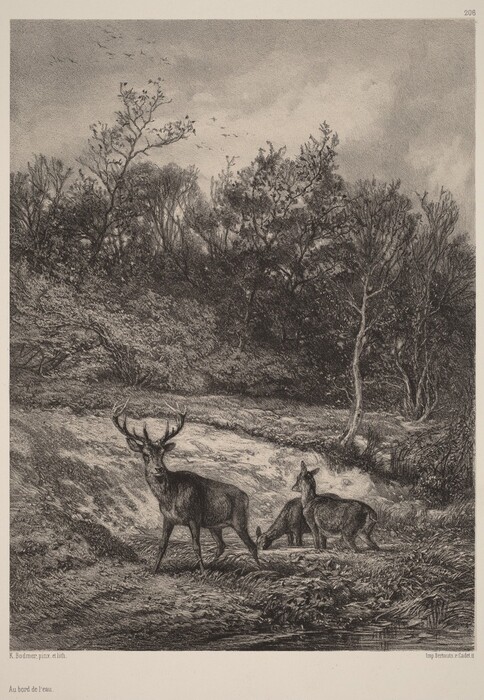 The image shows a natural scene with a slightly elevated viewpoint. The horizon is in the upper third of the image, with a line of trees stretching horizontally. The trees partially obscure the view with their branches and foliage. Intricately detailed brushstrokes depict a dense forest extending into the distance. In the foreground, a stag and two deer stand near a narrow water body. The brushstrokes show detailed textures of fur and leaves with cross-hatching and stippling. The color palette is monochromatic with shades of black and gray creating depth. In the distance, birds dot the sky.