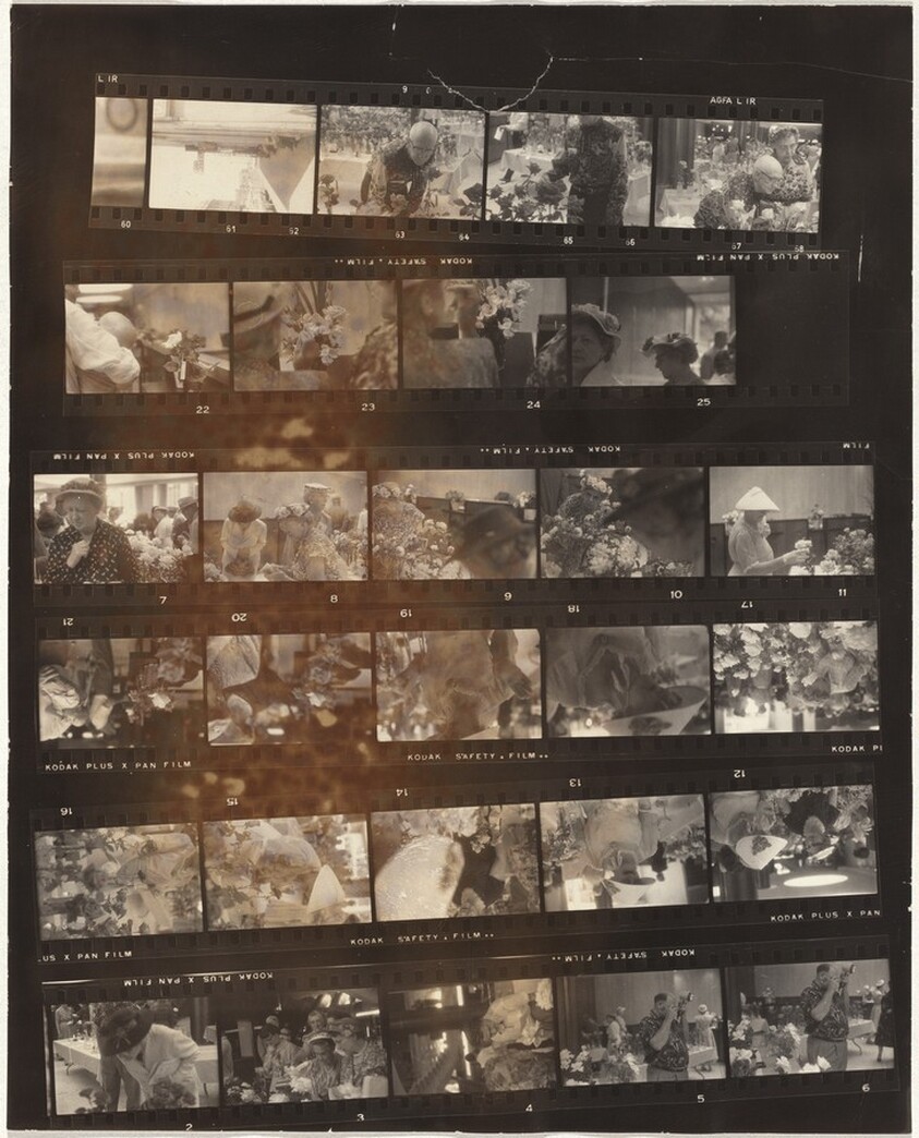 Rose show--Denver no number