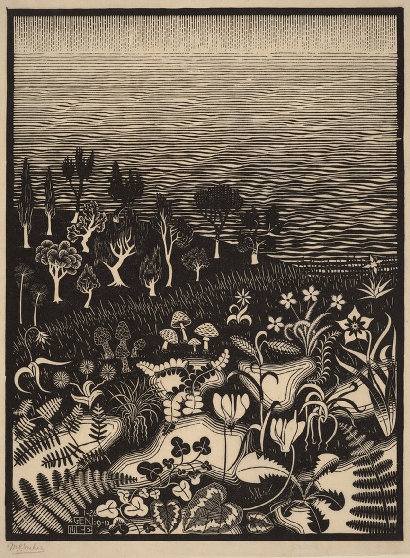 The Third Day of the Creation