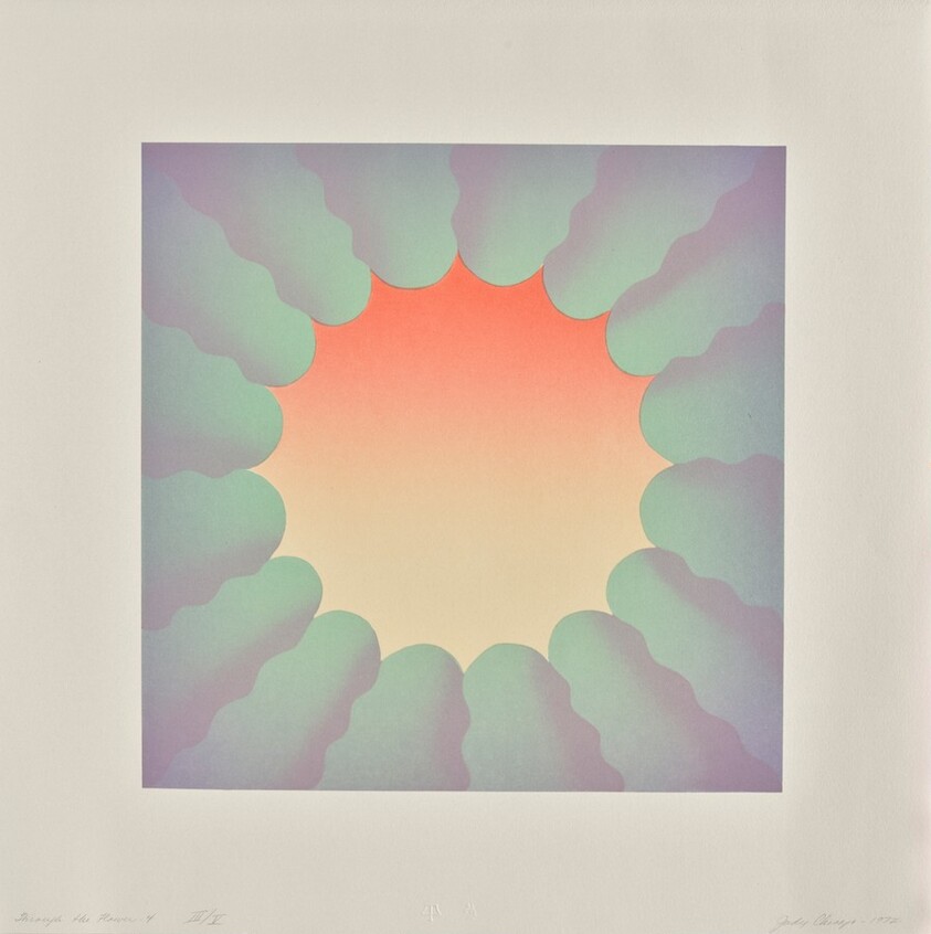 Through the Flower 4