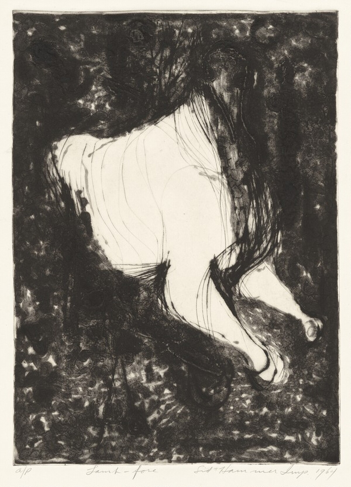 Lambfore
