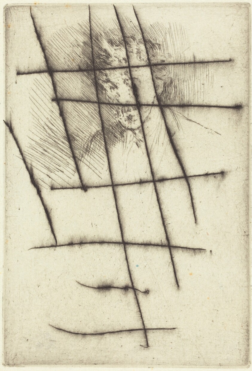 Whistler with the White Lock