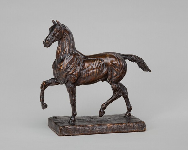 Flayed Horse II