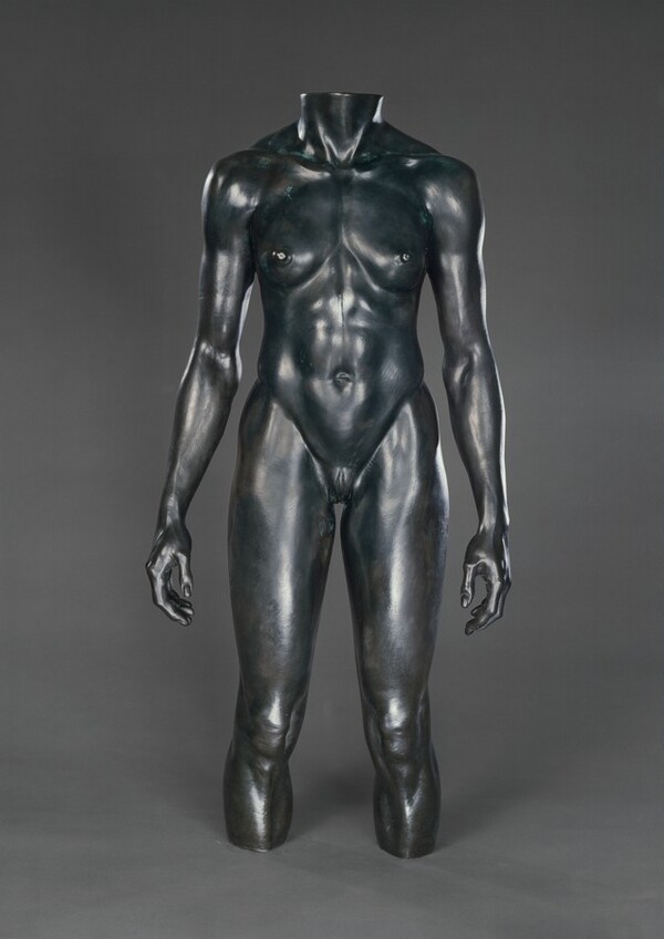 Olympic Torso (Female)