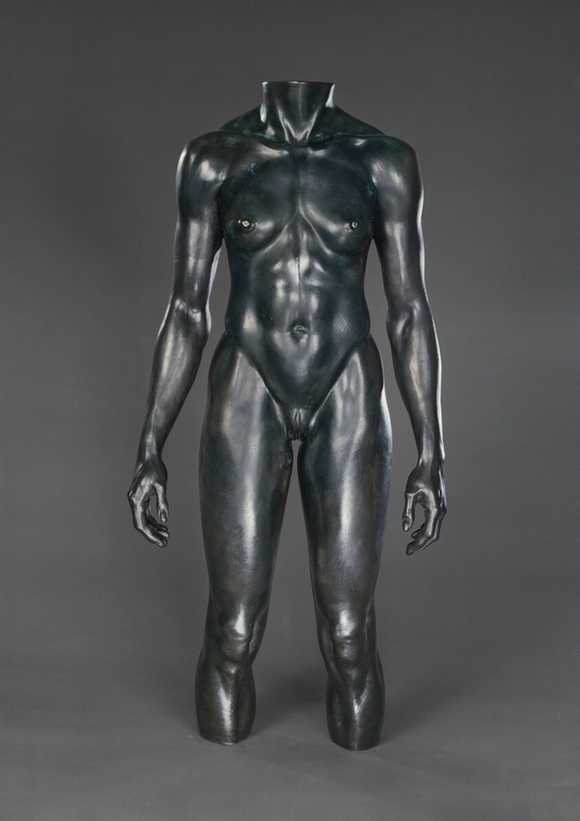 Olympic Torso (Female)