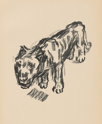 Löwe (Lion) from Deutsche Graphiker der Gegenwart (German Printmakers of Our Time)