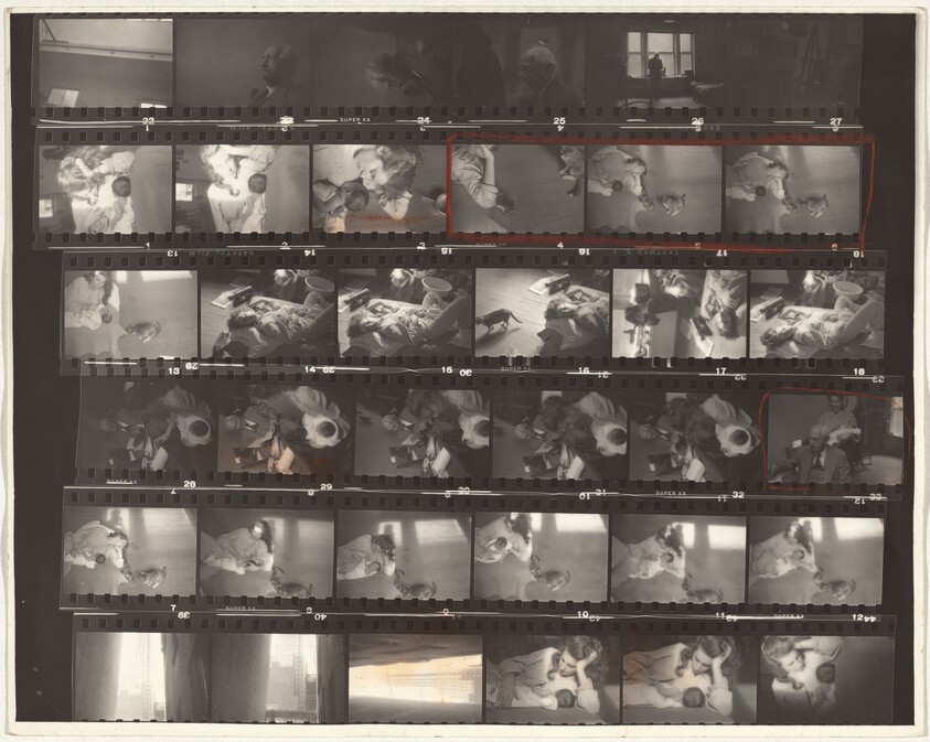 My Family/New York--Children and family 1A/Lines of My Hand 17/Black White and Things 13