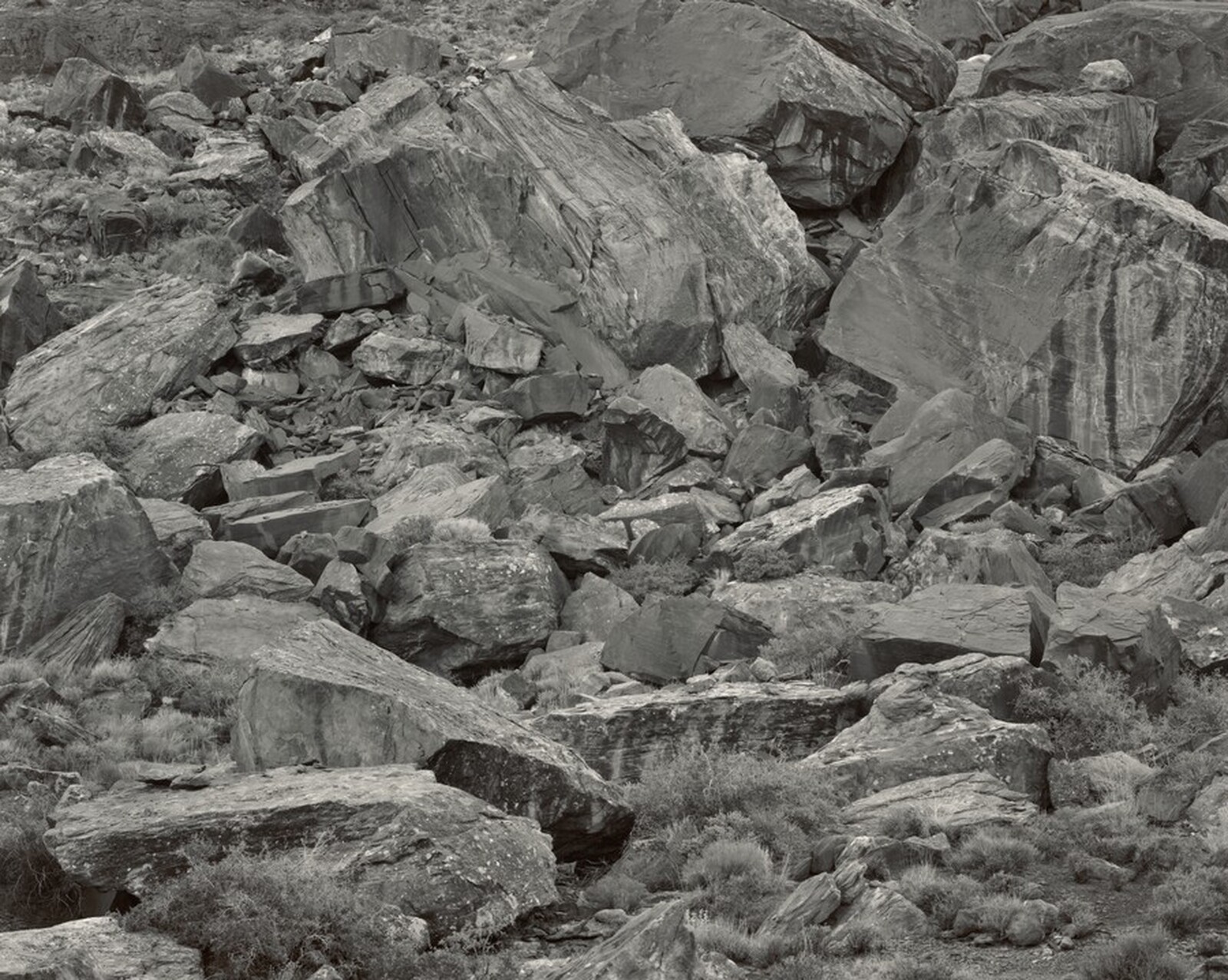 Rocks (Utah), Frederick Sommer, 1973