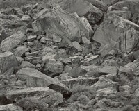 Rocks (Utah), Frederick Sommer, 1973