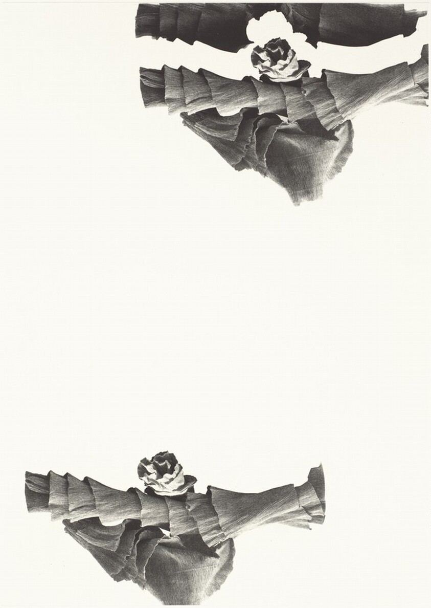 Falc (working proof)