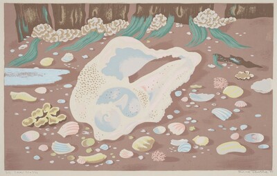 Sea Shells