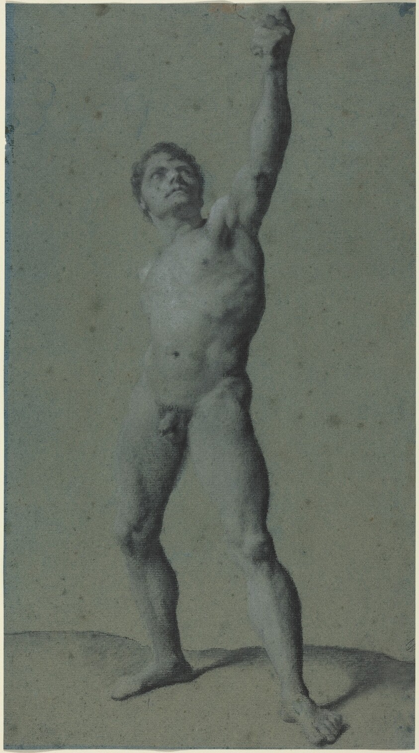 Male Nude Study