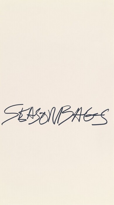 The image shows the word "SEASONBAGS" written in bold, black script on a plain white background. The handwritten text is positioned centrally with no additional imagery or details, emphasizing the simplicity and boldness of the word.