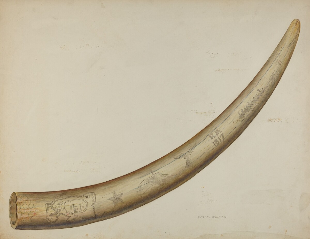 Scrimshaw: Walrus Tusk