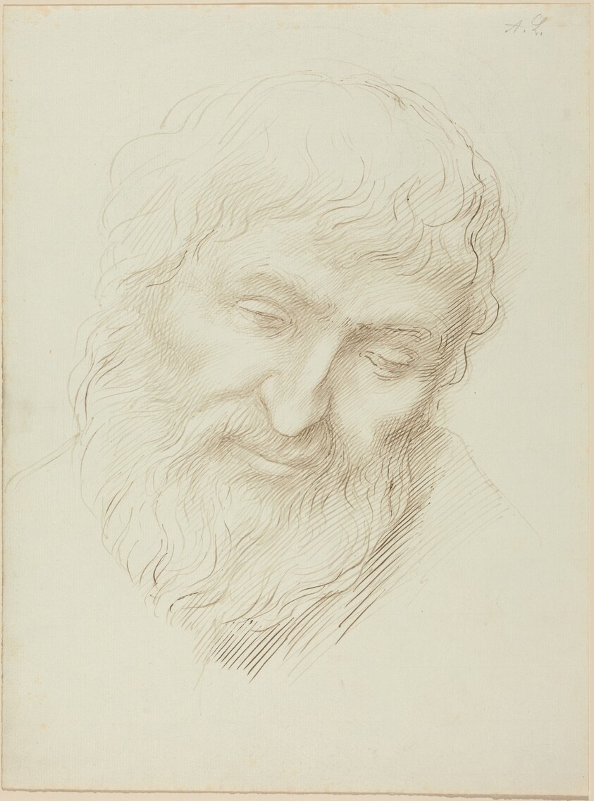 Head of a Man