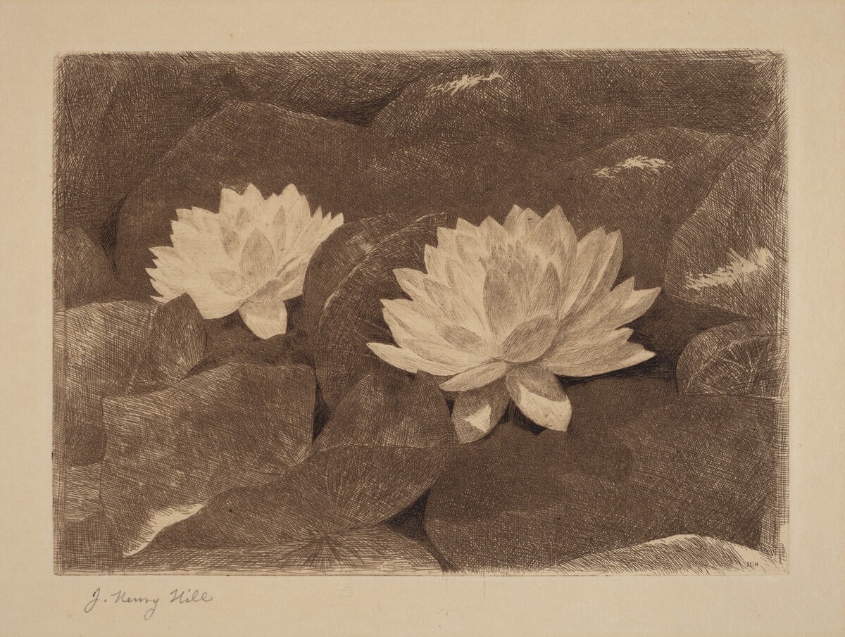 Waterlilies