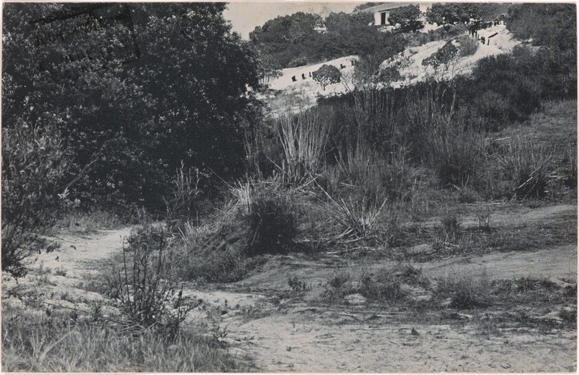 100 Boots Taking the Hill (4). Lomas Santa Fe, California. June 13, 1972, 2:47 p.m.
