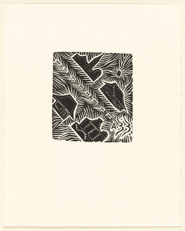 A Brazilian in Florida