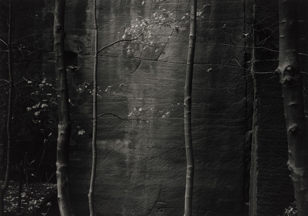 Ceremonial Veil, Nesscliffe, Shropshire, England