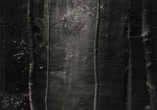 Ceremonial Veil, Nesscliffe, Shropshire, England