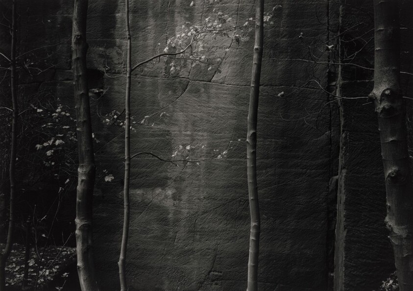 Ceremonial Veil, Nesscliffe, Shropshire, England