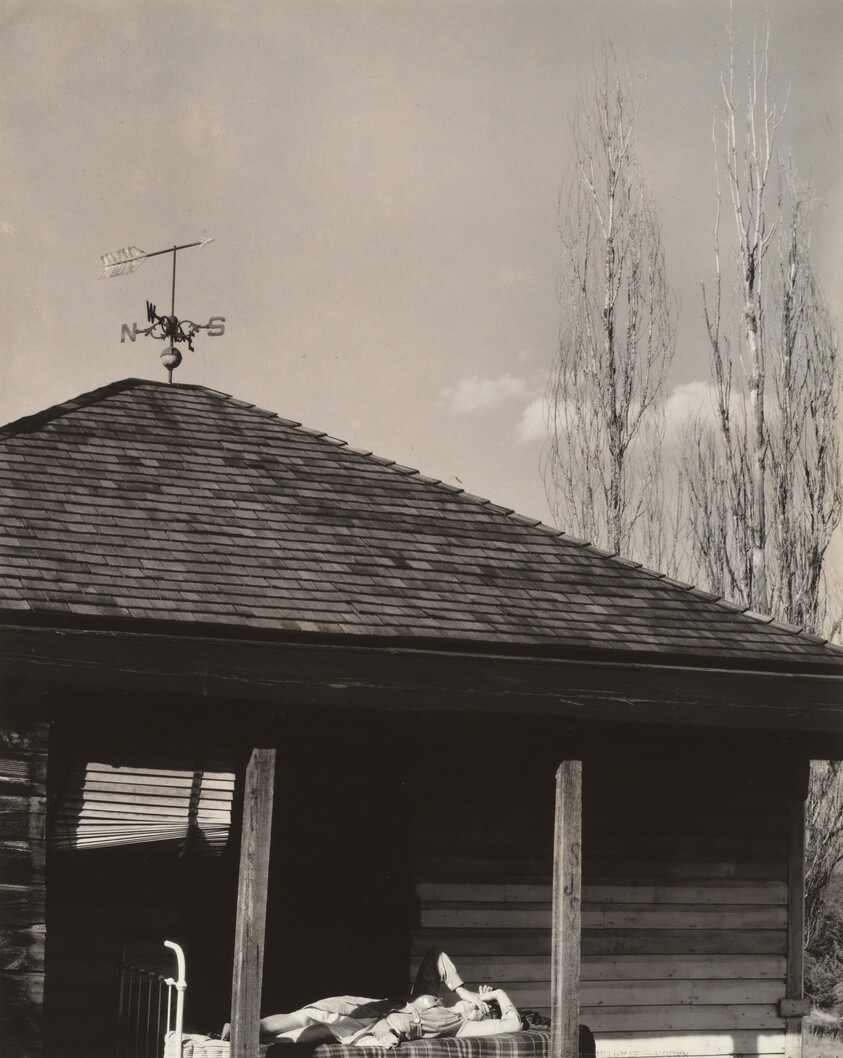 Back of Little House