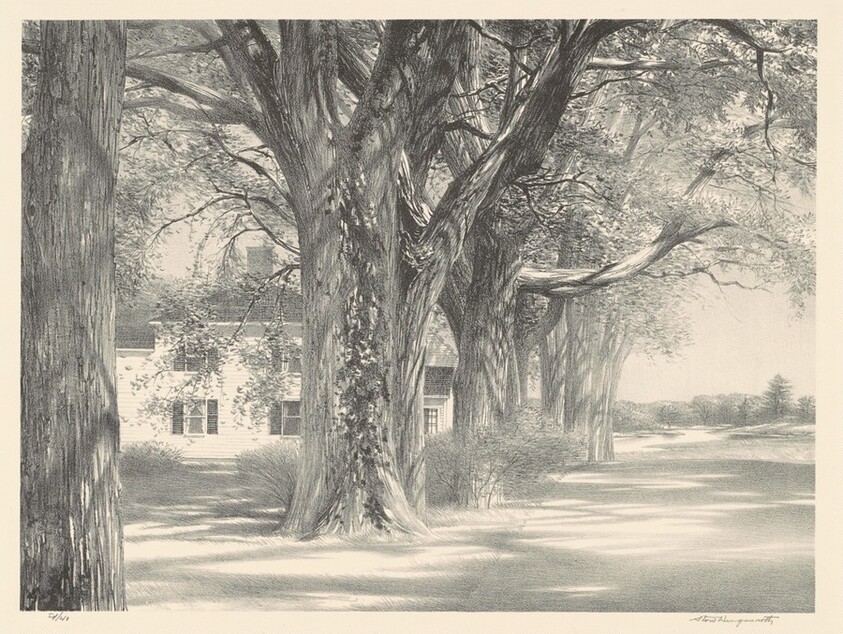 Spring on Pleasant Street