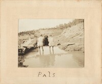 "Pals", American 20th Century, 1920s