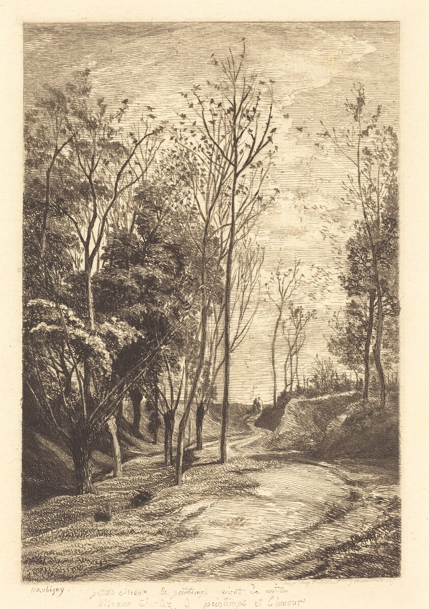 Little Birds (Les Petits oiseaux)