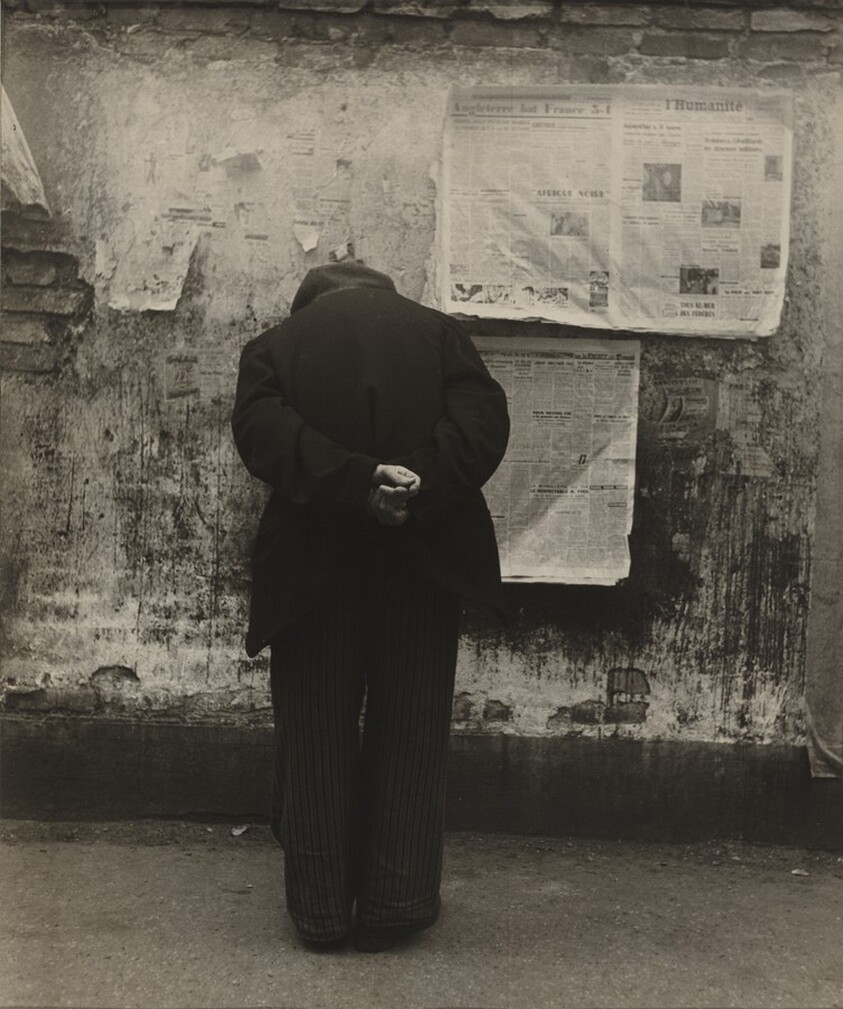 The Reading Wall, Paris
