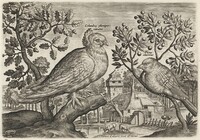 Pigeon and Finch, Adriaen Collaert, c. 1600
