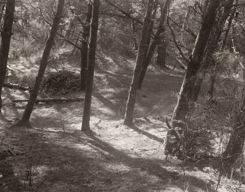 The Interior of the Spit