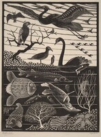 The Fifth Day of the Creation, M.C. Escher, 1926