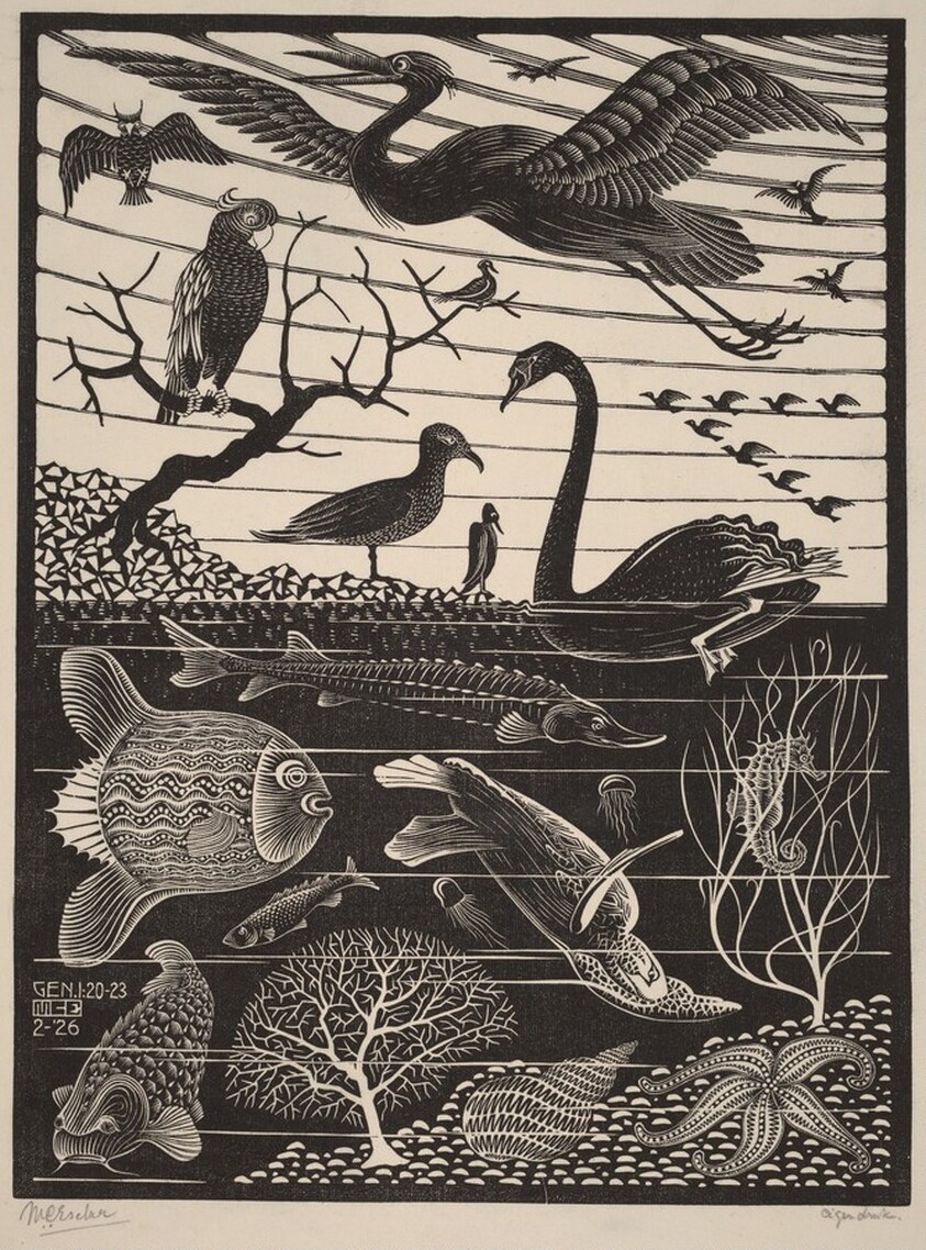 The Fifth Day of the Creation