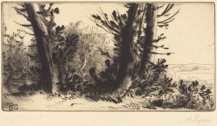 The image shows a view from a side angle of a cluster of trees and shrubs. The horizon is in the upper right corner, indicating an open area beyond the foliage. The etching technique creates depth and texture in the vegetation. The color scheme is mainly dark blacks and earthy tones against a lighter background, highlighting the contrast and depth of the lines. The foreground features detailed, twisted branches and foliage, with dynamic brush strokes. In the background, less detailed lines suggest a more open space compared to the dense vegetation in the foreground.