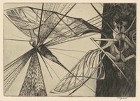 Locust, Walter Rogalski, 1954