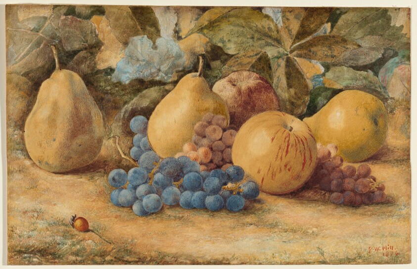 Still Life of Fruit: Apples, Pears, and Grapes on Ground