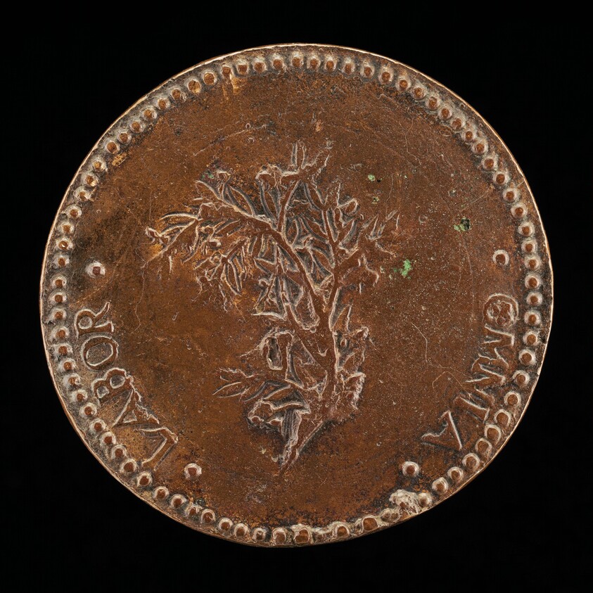 Olive Branch [reverse]